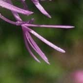 �^�����\�E