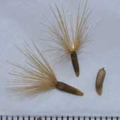 �^�����\�E