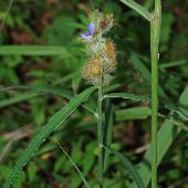 �^�k�L�}��