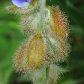 �^�k�L�}��