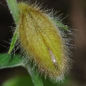 �^�k�L�}��