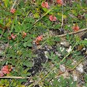 �^�k�L�R�}�c�i�M