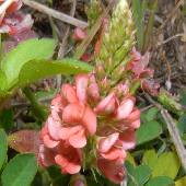 �^�k�L�R�}�c�i�M