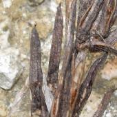 �^�k�L�R�}�c�i�M