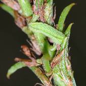 �^�k�L�R�}�c�i�M