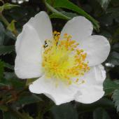 �e���n�m�C�o��