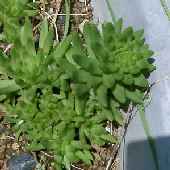 �c�������Q