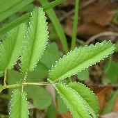 �������R�E