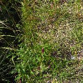 �������R�E