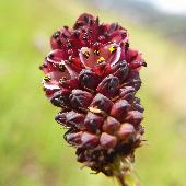 �������R�E