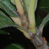 ���}�r��