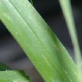 ���}�J���W�O�T