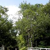 ���}�i���V