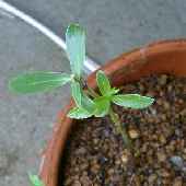 �V�_�����i�M