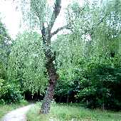 �V�_�����i�M