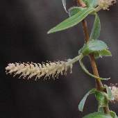 �V�_�����i�M