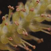 �V�_�����i�M