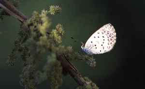 ���}�g�V�W�~