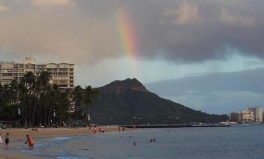 �n���C�̎ʐ^