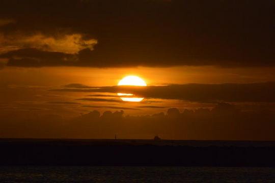 �n���C�̎ʐ^