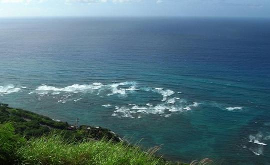 �n���C�̎ʐ^