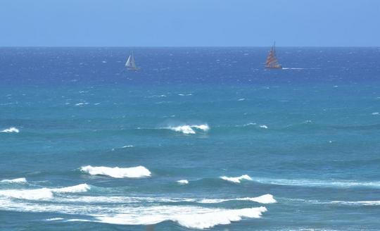 �n���C�̎ʐ^