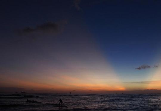 �n���C�̎ʐ^