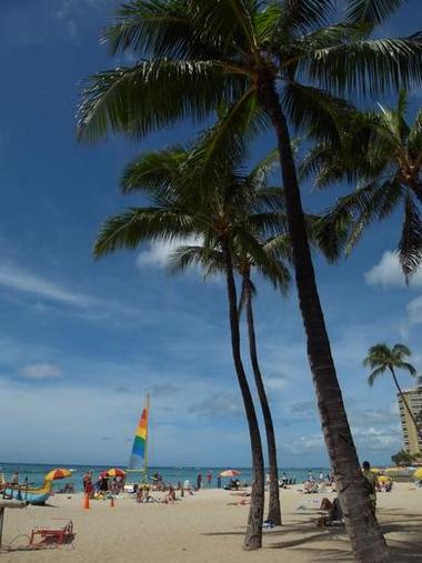 �n���C�̎ʐ^