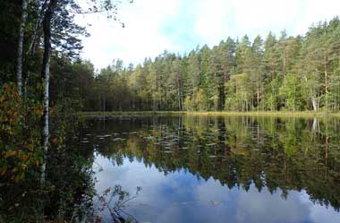 �k�N�[�V�I��������