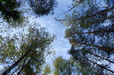 �k�N�[�V�I��������