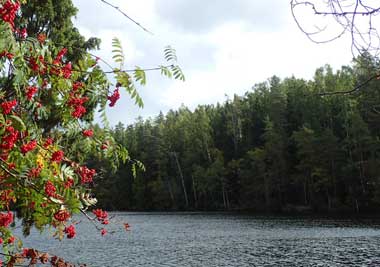 �k�N�[�V�I��������