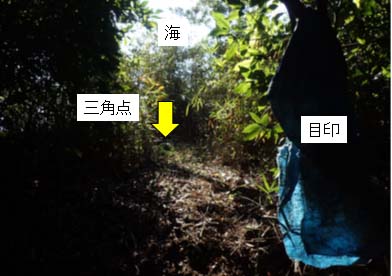 ���{���̕x�m�R