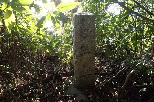 ���{���̕x�m�R