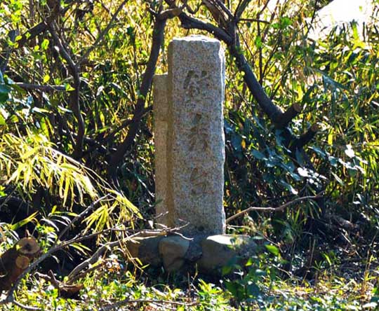 ���{���̕x�m�R