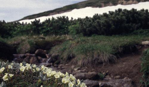 �R�}�N�T��