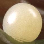 �A�I�X�W�A�Q�n