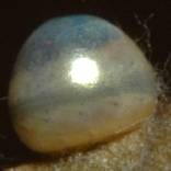 �M�t�`���E