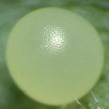 �q�J�Q�`���E