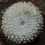 �q���V�W�~