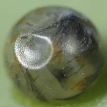 �~�J�h�A�Q�n