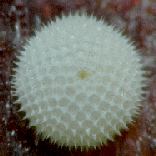 �����T�L�V�W�~