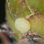 �����T�L�V�W�~