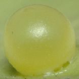 �i�K�T�L�A�Q�n