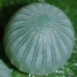 �I�I�����T�L