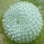 �����V�W�~