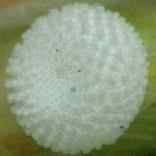 �����V�W�~