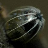 �����^�e�n