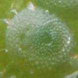 �����E���i�~�V�W�~