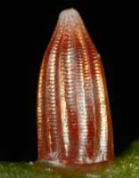 �X�W�{�\���}�L�`���E