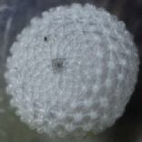 �E���i�~�V�W�~